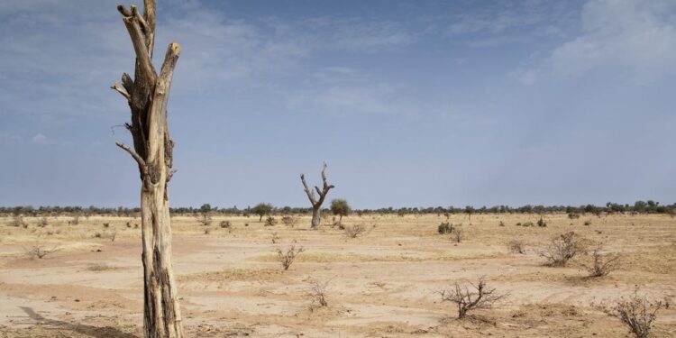 DESERTIFICATION AFFECTS 40 MILLION NIGERIANS, GOVT URGES URGENT&nbsp;ACTION