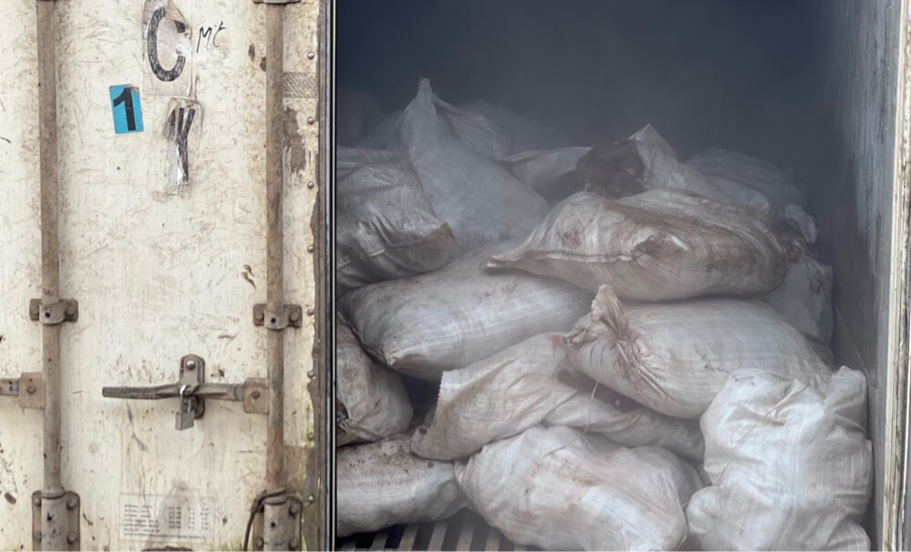 NIGERIA CUSTOMS SEIZES 10,603 DONKEY GENITALS IN MAJOR WILDLIFE TRAFFICKING&nbsp;BUST