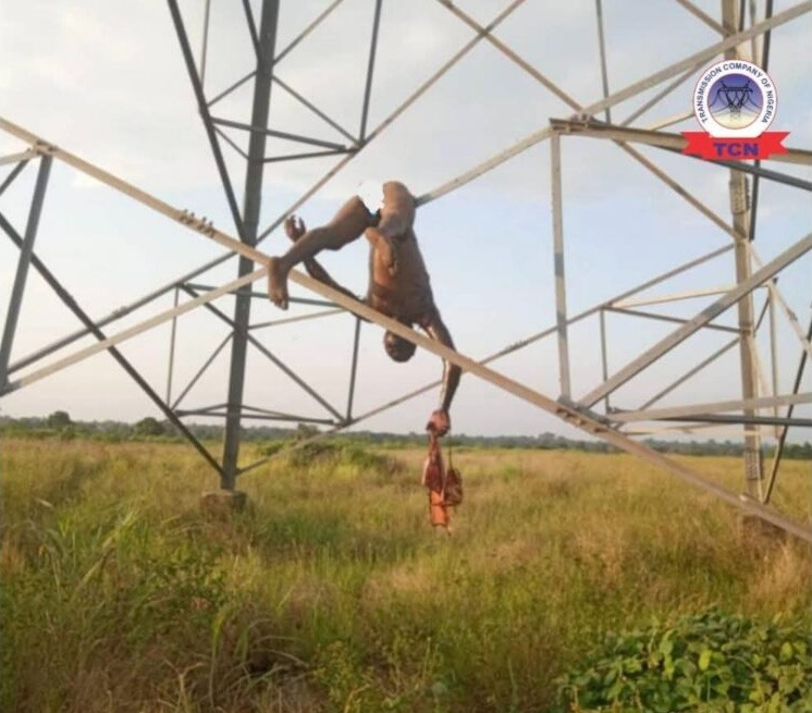 SUSPECTED VANDAL ELECTROCUTED TRYING TO TAMPER WITH TRANSMISSION TOWER IN&nbsp;EBONYI