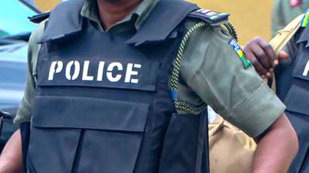YOBE POLICE ARREST 303 SUSPECTS IN MASSIVE DRUG&nbsp;CRACKDOWN
