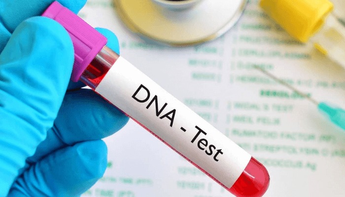DNA TESTING IN NIGERIA RISES TO 13.1% IN 2025, REVEALS FAMILY TRUST&nbsp;ISSUES