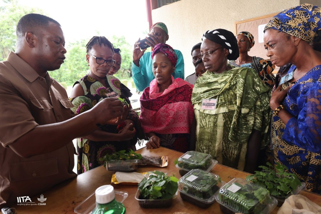 IITA STRESSES GENE BANK CONSERVATION KEY TO AFRICA’S FOOD&nbsp;SECURITY