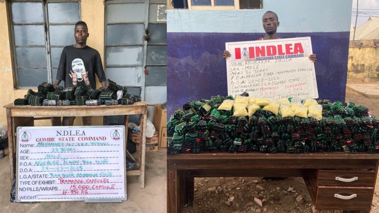 NDLEA SEIZES 104,900 TRAMADOL CAPSULES FOR INSURGENTS, MAKES MULTIPLE DRUG&nbsp;ARRESTS