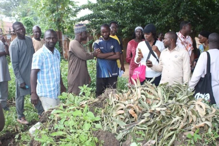 ABU ZARIA STUDENT TURNS TO CHARCOAL PRODUCTION AMID HARDSHIP, CALLS FOR SUSTAINABLE&nbsp;FORESTRY