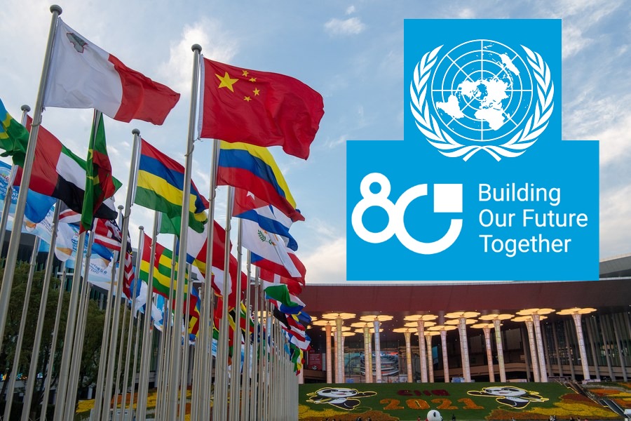 CHINA REAFFIRMS STRONG UN PARTNERSHIP AS UNITED NATIONS MARKS 80 YEARS