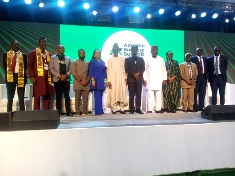 FG MOVES TO MAKE HOUSING AFFORDABLE FOR LOW-INCOME NIGERIANS, LAUNCHES NATIONAL&nbsp;CAMPAIGN