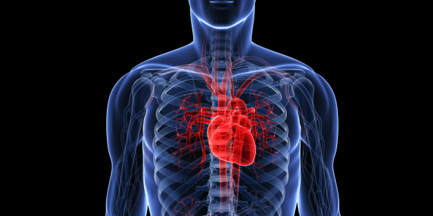 NIGERIAN HEART FOUNDATION URGES HEALTHY LIFESTYLES TO PREVENT HEART&nbsp;DISEASES