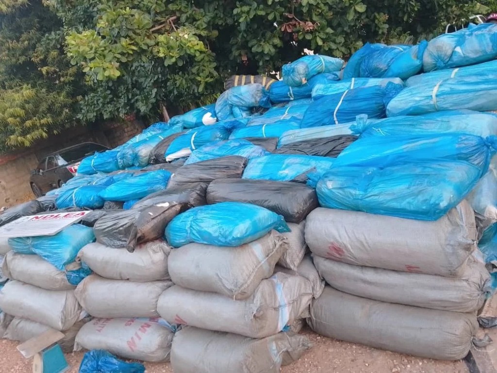 NDLEA AND KOGI GOVERNMENT SCORE BIG WITH MAJOR DRUG SEIZURE IN&nbsp;STATE