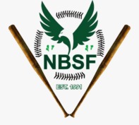 NIGERIA SET TO LEAD AFRICAN BASEBALL AND SOFTBALL SCENE, SAYS NBSF PRESIDENT UCHE&nbsp;ODOZOR