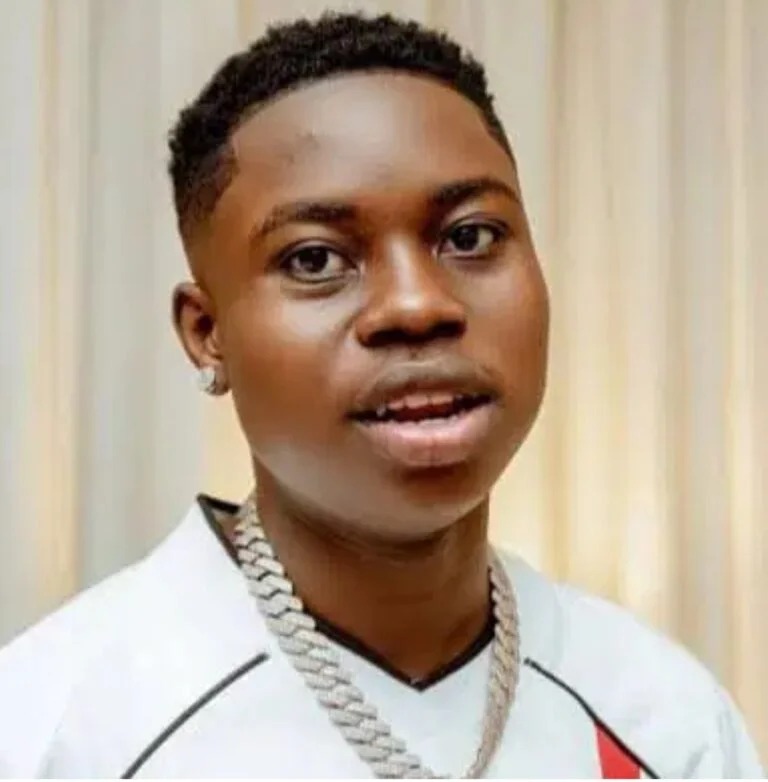 LAGOS POLICE NABS TIKTOKER PELLER OVER LIVESTREAM CRASH, SUICIDE&nbsp;CLAIM