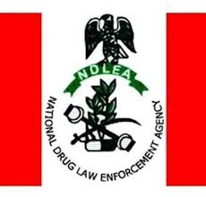 EBONYI NDLEA BUSTS 157 DRUG SUSPECTS, SEIZES 134KG HARD&nbsp;STASH!