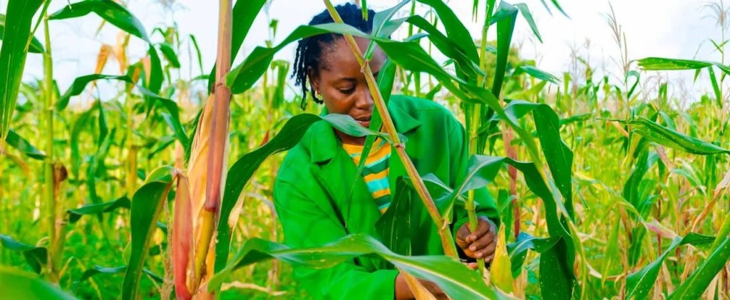 12,000 WOMEN AND YOUTHS TRAINED IN ORGANIC FARMING BY ACTIONAID SPAC