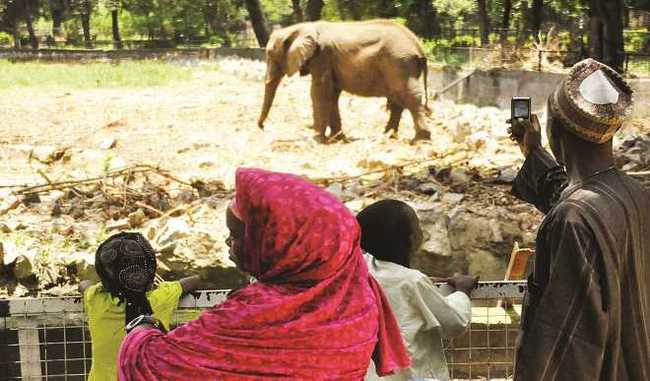 KANO’S AUDU BAKO ZOO SET FOR MAJOR&nbsp;REVAMP