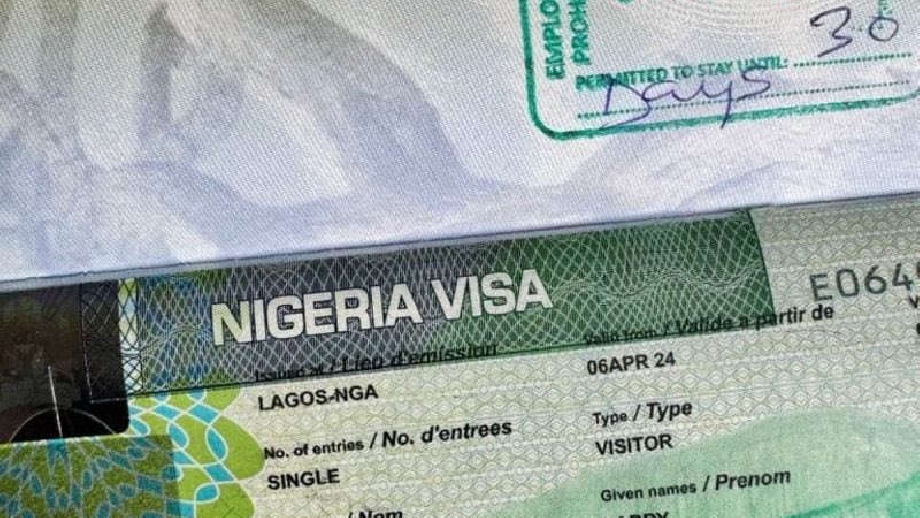OPEN THE DOORS BOTH WAYS: EXPERT DEMANDS VISA RECIPROCITY IN NIGERIA’S TRADE&nbsp;DEALS