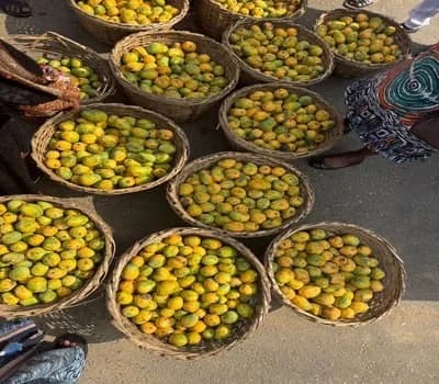 OYO GOVT SEIZES CHEMICALLY RIPENED FRUITS, WARNS&nbsp;PUBLIC