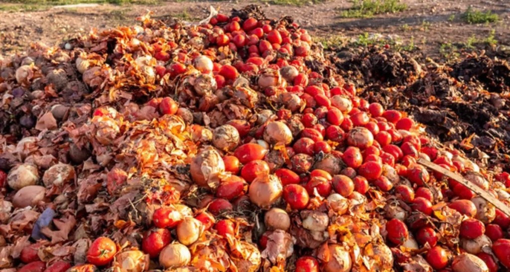 PLATEAU TOMATO FARMERS CRY OUT OVER POST-HARVEST LOSSES, DEMAND STORAGE, PROCESSING&nbsp;SUPPORT