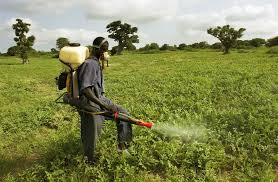 AGROCHEMICAL MISUSE: EXPERTS PUSH FOR STRONGER FARMER&nbsp;EDUCATION