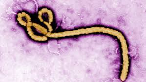 EBOLA: OVER 1,000 PEOPLE INFECTED IN DRC, TODDLER DIES