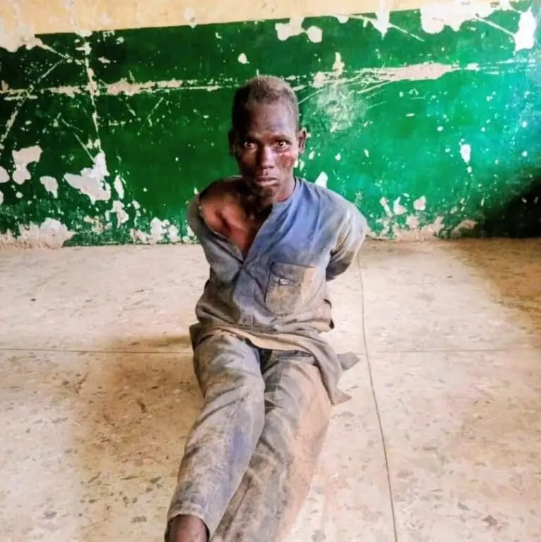 TROOPS RECOVER 147 LIVESTOCK, ARREST TWO SUSPECTS AFTER FOILING BANDITS’ ATTACK