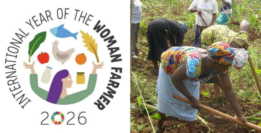 ENUGU GOVT APPLAUDS WOMEN FARMERS FOR BOOSTING FOOD SECURITY