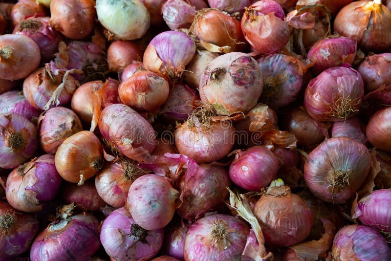 ONION DISPUTE: NIGERIAN TRADERS SUSPEND EXPORTS TO GHANA, SEEK ECOWAS&nbsp;MEDIATION