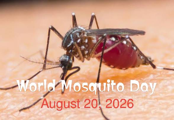 WORLD MOSQUITO DAY: THE NEED FOR SUSTAINED EFFORTS AGAINST MOSQUITO-BORNE&nbsp;DISEASES