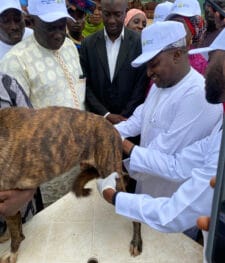 KADUNA LAUNCHES ANTI-RABIES CAMPAIGN TO PROTECT DOGS, CATS AND&nbsp;COMMUNITIES