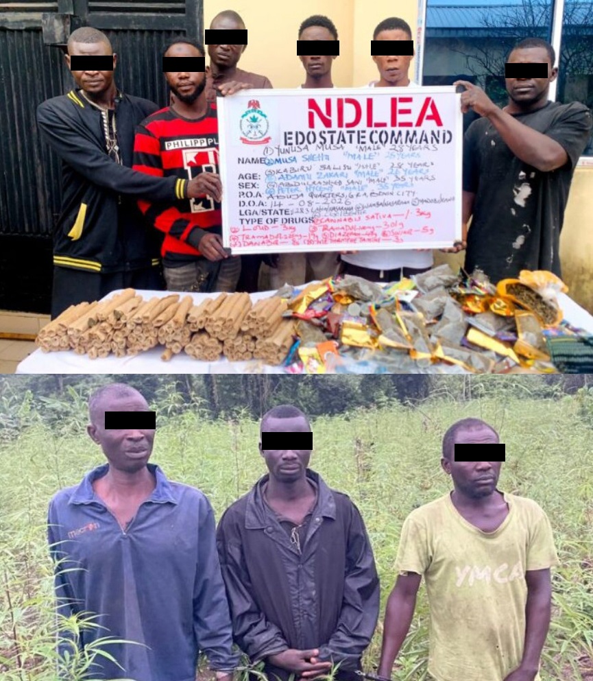 NDLEA ARRESTS 68 SUSPECTED DRUG TRAFFICKERS, SEIZES OVER 7,500KG OF DRUGS IN&nbsp;EDO